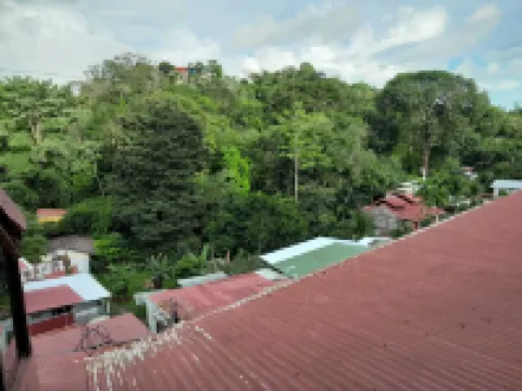 Natural Pacific Suites