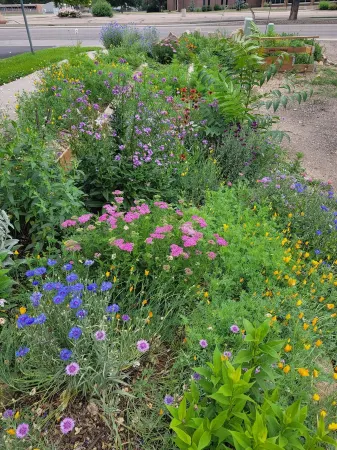 Cozy basement apartment Отели рядом с достопримечательностью «Библиотека Каунсил Три»