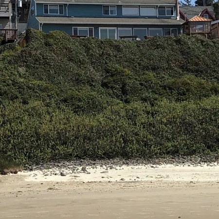 OUTRAGEOUS Oceanfront Hot tub Amazing Beach-