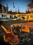 Pelican Point -- Oceanfront Blufftop on 1 Acre, Hot Tub, Dog Friendly!