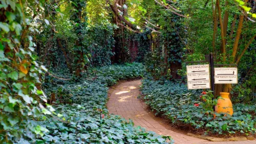 Ducks Country House Hotels in Sedibeng