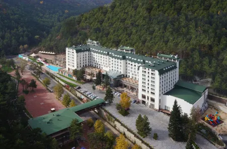 Cam Thermal Resort Hotel & Spa Отели в г. Kizilcahamam
