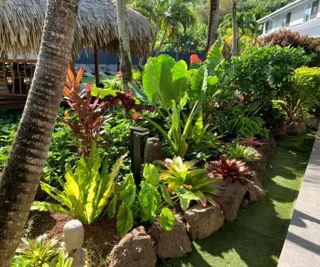 Tiki Ora Lodge - Tiki