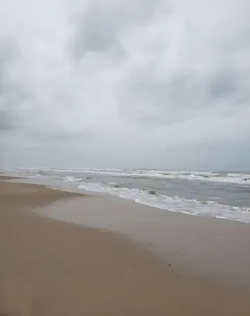 Turtle's Pace -Beachfront Condo