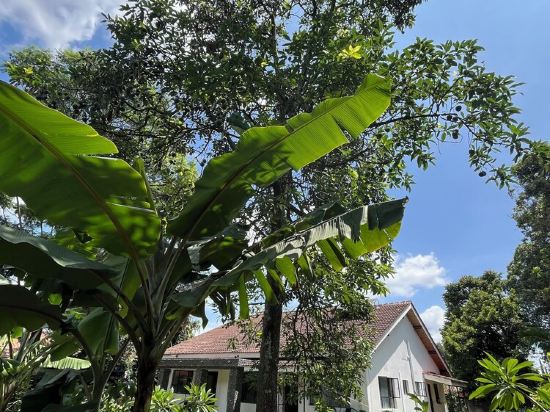 3-bedroom house in enchanting Arusha with WiFi