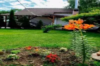 Superb vacation villa located at the foot of the Făgăraş Mountains, Sibiu region Hotels in 