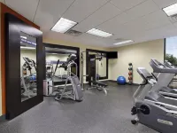 埃克莫爾東海岸希爾頓歡朋套房酒店 北安普敦縣酒店