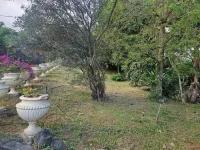 Charming apartment in the heart of the Saint louis river. Ideal for a couple Hotels in Saint-Louis