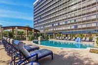 Hilton Waco - piscine