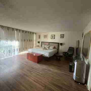 Beautiful and spacious house with garden in Colonia Del Valle, CDMX Rooms