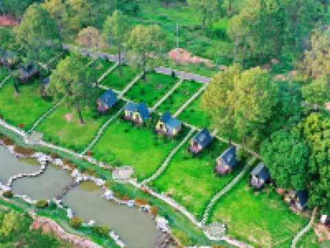 Phoenix Moc Chau Hotel Hotels in Moc Chau District