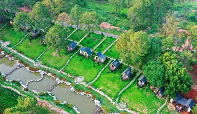 Phoenix Moc Chau Hotel Отели в г. 