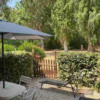 Calvi - Studio 4 pers with garden in the pinewood - 200 m from its magnificent beach Hotel Exterior