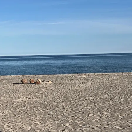 "Skade" - 10m from the Sea