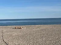 "Skade" - 10m from the Sea