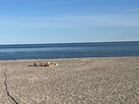 "Skade" - 10m from the Sea