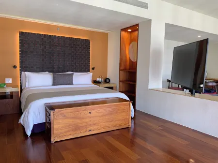 Barceló Monterrey Valle