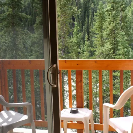 Denali Grizzly Bear Resort