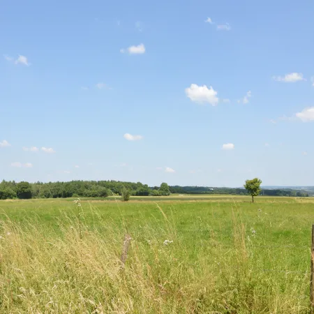 Spacious Durbuy group stay