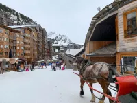 Apartment in Avoriaz near Aquariaz Park