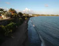 Beachfront Ocean Front 2