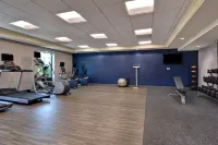 Hampton Inn & Suites Clearwater/St. Petersburg-Ulmerton Rd - Gym