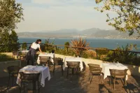 케이프 오브 센스