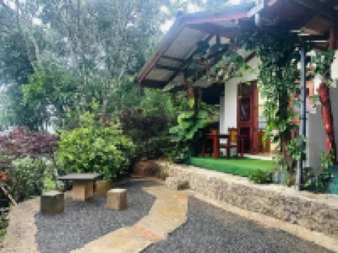 엘라 하이드 포레스트 코티지