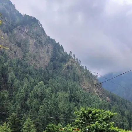Brother's in Mountains