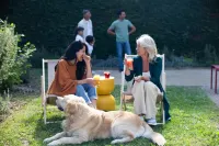 Campanile NATURE - Bollène - acceptant les animaux