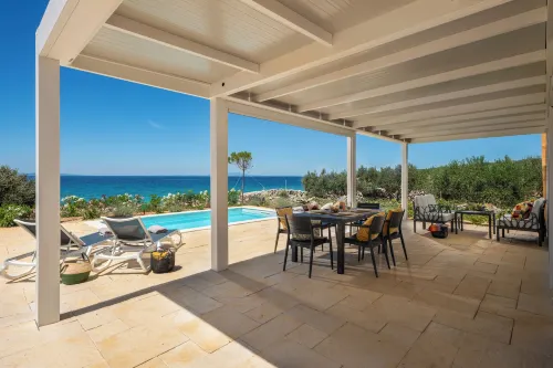 Terra Park Phalaris - Beach
