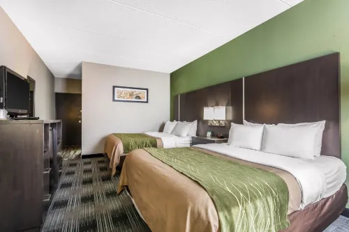 Comfort Inn Cleveland Airport - Afhentnings-/afleveringstjenester