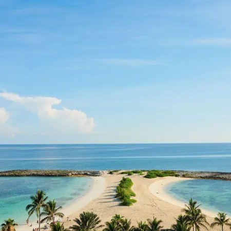 The Cove at Atlantis