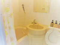 อะโอชิมะ โลโค่ บีช