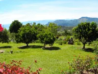 Cabañas y Flores Hotels in Jerico