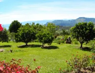 Cabañas y Flores