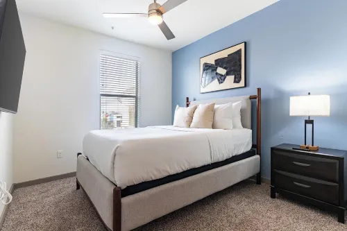 Landing Furnished Apartments Near UT Arlington
