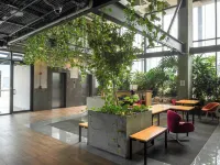 Purísima 5.0 Hotels in Monterrey