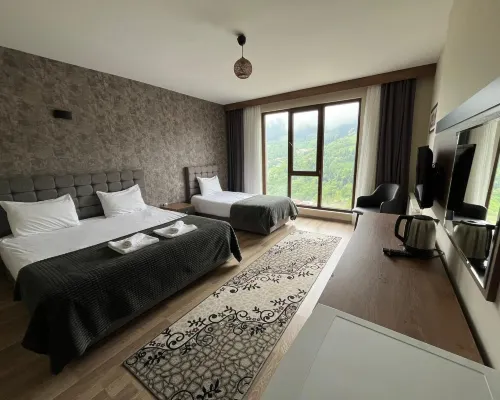 Alya Teras Otel Hotels in Macka