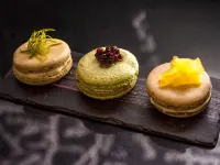 聖地亞哥普羅維登西亞諾富特酒店 鄰近纽布莱的酒店
