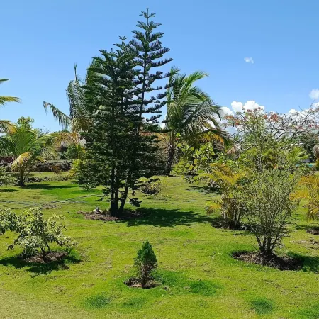 Eco Lodges Chalets Tropicales Playa Macao