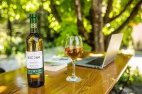 Eco Cottage - Homestays