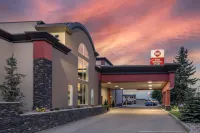 Best Western Plus City Centre Inn - bar
