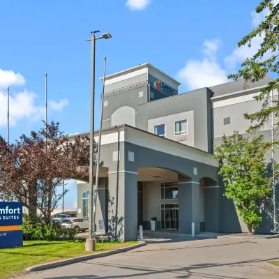 Comfort Inn & Suites Airport South Hotels near Minhas Brewery
