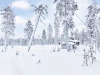 Jousimaja - Pet friendly
