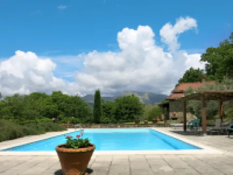 Belvedere (Blu101)