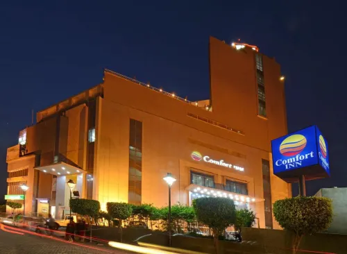 Comfort Inn Tulip Heights - bar