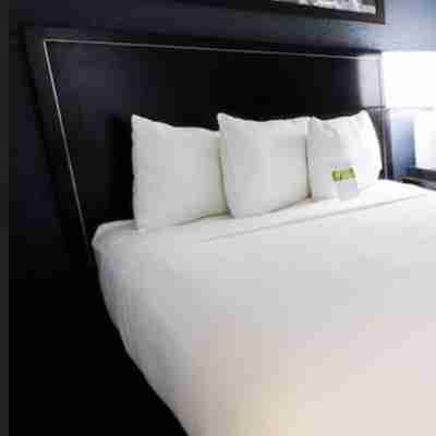 凱悦嘉寓酒店-洛杉磯曼哈頓海灘 Rooms