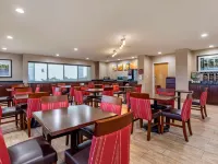 コンフォート スイーツ フローレンス ショールズ エリア フローレンスのホテル