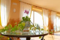 Hotel Ariston and Palazzo Santa Caterina - Pet friendly